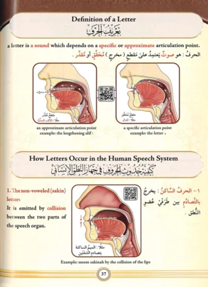 Illustrated Tajweed Arabic/English New Edition (one volume)