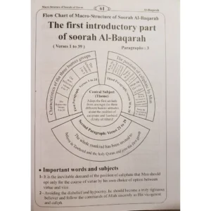 Microstructure of The Soorahs of The Quran