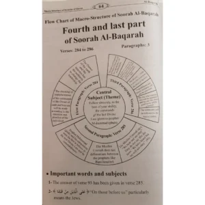 Microstructure of The Soorahs of The Quran