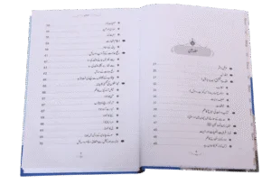 Namaz-e-Nabvi (12×17)
