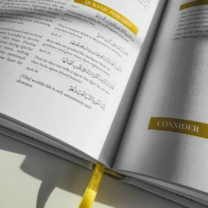 Quran Compass: Surah by Surah Study Guide