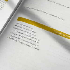 Quran Compass: Surah by Surah Study Guide