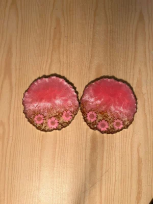 Resin Coasters (set of 2)
