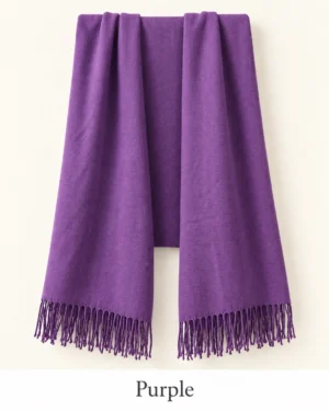 Pashmina Shawl