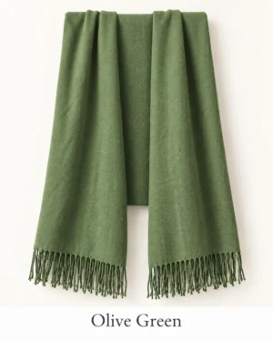 Pashmina Shawl